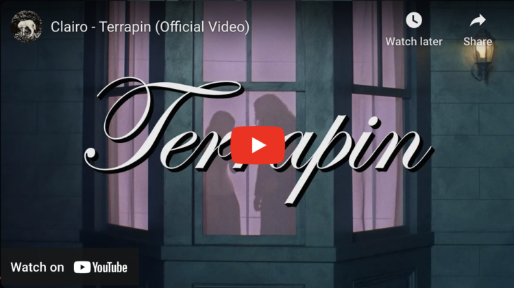 screenshot of the music video for 'Terrapin' by Clairo